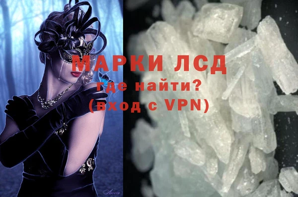 ГАЛЛЮЦИНОГЕННЫЕ ГРИБЫ Инта