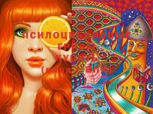 ГАЛЛЮЦИНОГЕННЫЕ ГРИБЫ Инта